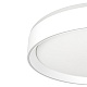 потолочный светильник citilux boss cl751350g