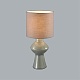 настольная лампа lumion moderni segi 8129/1t