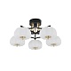 потолочная люстра escada halma 10301/5led