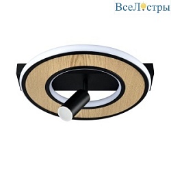 Потолочный светильник Lumion Ledio Pine 6572/24CL