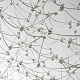 подвесная люстра favourite thinner 4305-12p