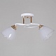 потолочный светильник reluce 04360-0.3-02 wh+fg