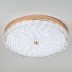 потолочный светильник led4u l1117-500 gd