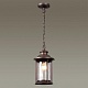 уличный подвесной светильник odeon light nature mavret 4961/1