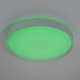 потолочный светильник citilux boss cl751450g