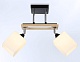 спот ambrella light traditional modern tr9503