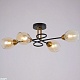 потолочная люстра illumico il8263-4cou-79 bk gd celeste