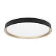 потолочный светильник citilux boss cl751451g