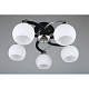 потолочная люстра omnilux caldiero oml-25407-05