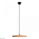 подвесной светильник loft it plato 10119 orange