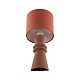 настольная лампа lumion moderni segi 8131/1t