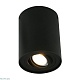 потолочный светильник arte lamp a5644pl-1bk
