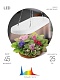 подвесной светильник для растений эра fito-25w-qled-fly б0053062