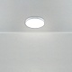 потолочный светильник freya sprida fr6129cl-l80gr