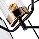 подвесная люстра arte lamp celaeno a7004pl-5bk