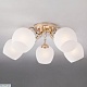 потолочная люстра eurosvet wendy 30138/5 золото