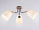 потолочная люстра ambrella light modern tr4731