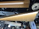 подвесной светильник freya loyd fr5556pl-l25bbs