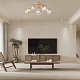 потолочная люстра arte milano napoli 336034/5 fgd