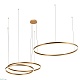 подвесной светодиодный светильник loft it ring 10017/3l