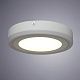 потолочный светодиодный светильник arte lamp antares a7816pl-2wh