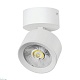 накладной светильник alta pro lightstar a5536so