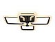 потолочная люстра с пультом ambrella light acrylica original fa531