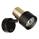 спот citilux sat cl505611