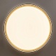 потолочный светильник citilux boss cl751451g