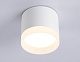 накладной светильник ambrella light acrylic frost tn5365