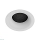 встраиваемый светильник arte lamp ducre a8095pl-1wh