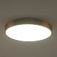 потолочный светильник zortes tortty zrs.02566.72