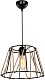 подвесной светильник toplight georgiana tl1607h-01bk
