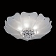 потолочный светильник lightstar lobo 804020