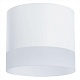 потолочный светильник arte lamp castor a5554pl-1wh