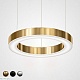подвесная люстра imperiumloft light ring horizontal 177929-22