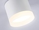 накладной светильник ambrella light acrylic frost tn5365