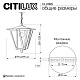 уличный подвесной светильник citilux forts clu09s