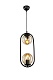 подвесной светильник toplight kerrie tl1609h-02bk