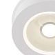 светодиодный спот maytoni magic dl2003-l12w4k