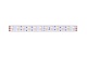 светодиодная лента designled dsg5120-24-rgb+ww-33 001134