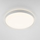 потолочный светильник citilux boss cl751450g