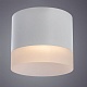 потолочный светильник arte lamp castor a5554pl-1wh