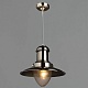 подвесной светильник arte lamp fisherman a5530sp-1ss