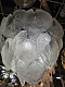 подвесная люстра arte lamp kapri a4078lm-6cc