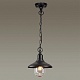 уличный подвесной светильник odeon light nature campa 4965/1