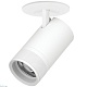 встраиваемый светильник 20-55g с адаптером lightstar canno pro c4406rs
