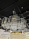 подвесная люстра newport 4350 4356+3/c chrome