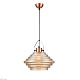 подвесной светильник vele luce genio vl5404p21