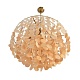 подвесная люстра lumion moderni shella 8386/6